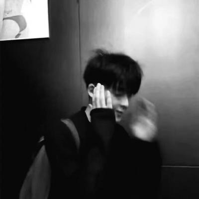 兽设幻想物种设计福瑞群